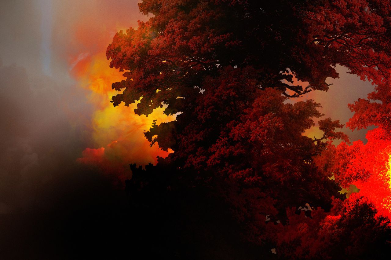 Incendios forestales Asturias