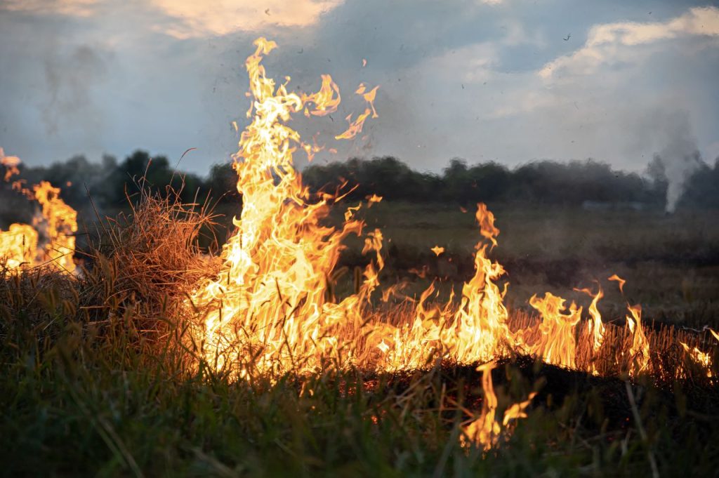 Incendios forestales Asturias