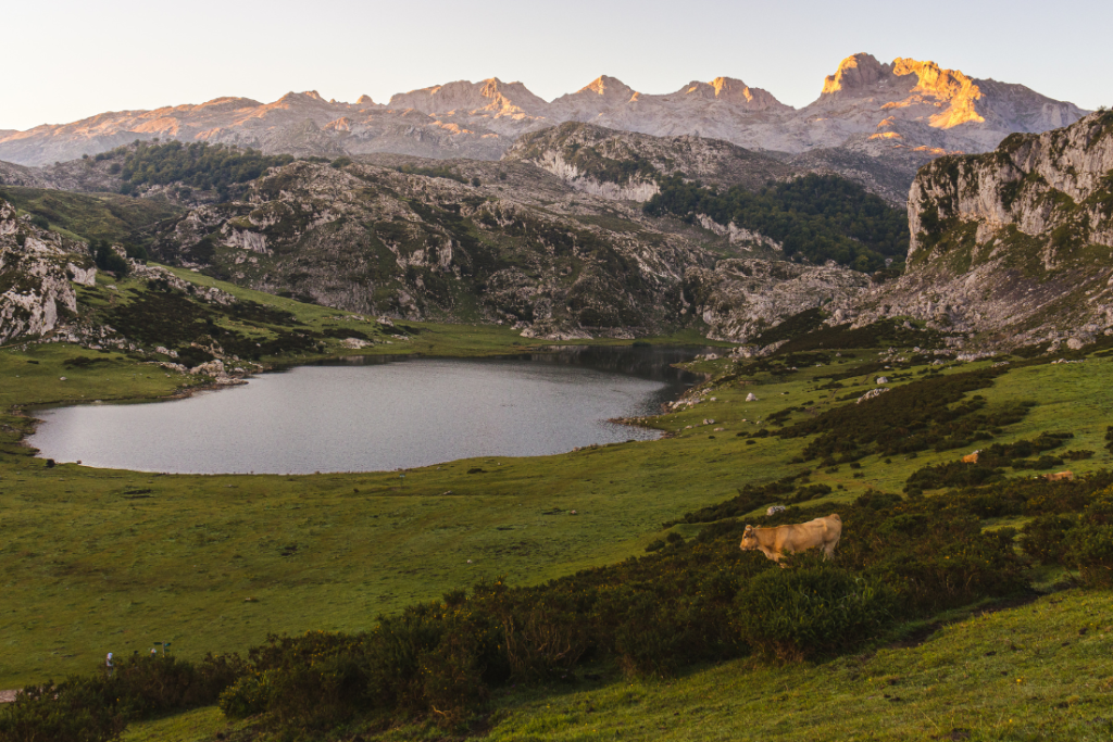 el impulso de asturias en la biodiversidad