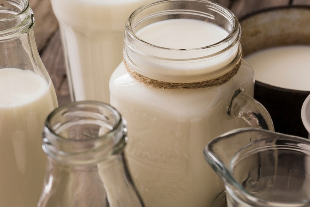 nueva revolución biotecnológica fermentos lacteos