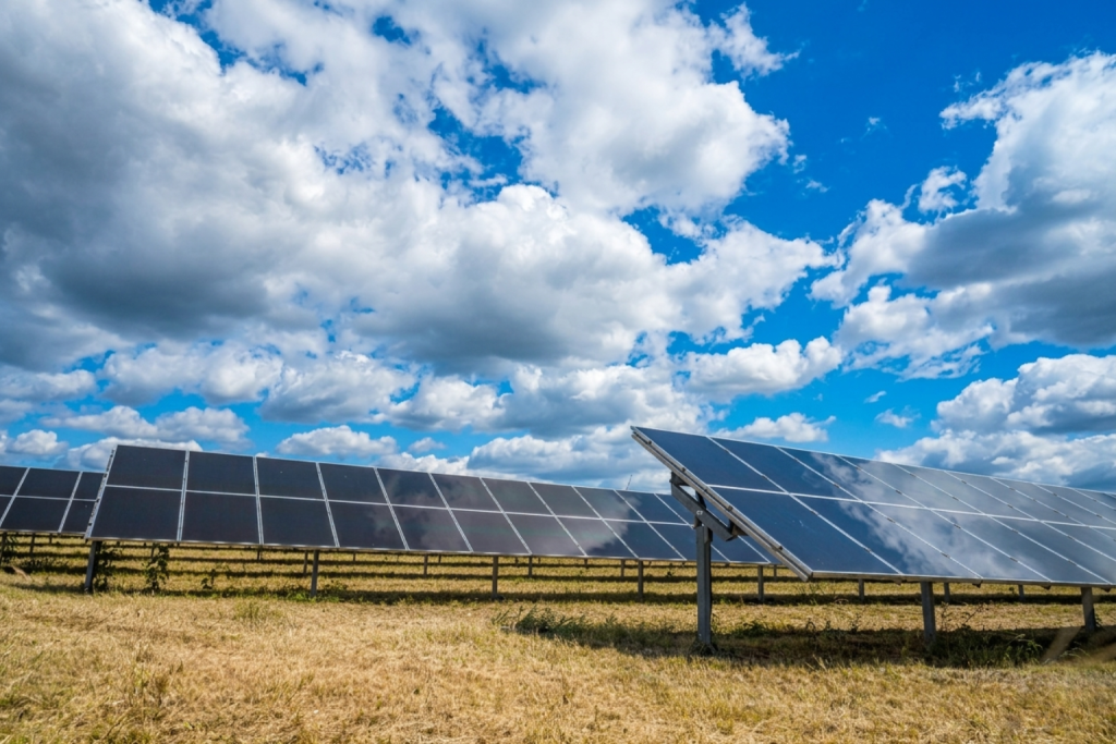 paneles solares