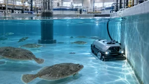Una empresa asturiana desarrolla un robot submarino para la acuicultura